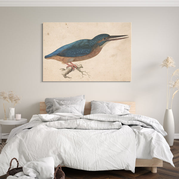 Leinwandbild Jacques Le Moyne de Morgues - Ein Eisvogel auf einer Niederlassung