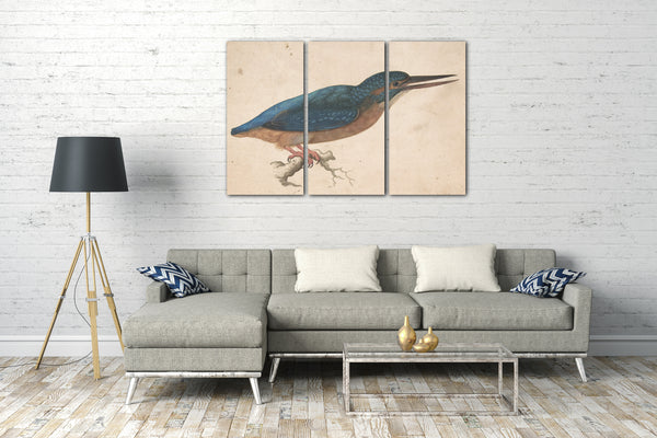 Leinwandbild Jacques Le Moyne de Morgues - Ein Eisvogel auf einer Niederlassung
