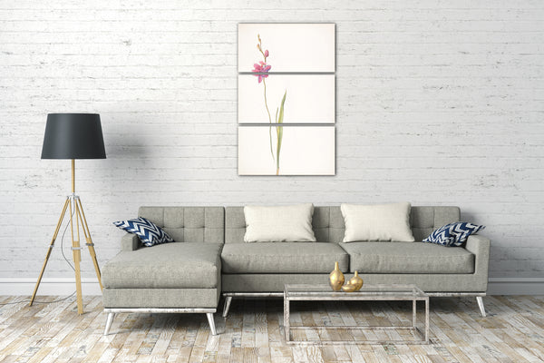 Leinwandbild Margaret Neilson Armstrong - Rosa-lila Orchidee