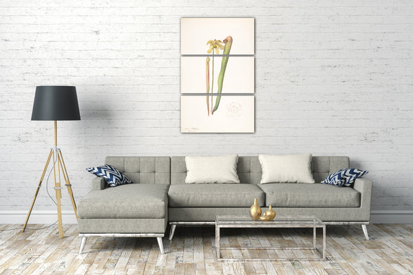 Leinwandbild Margaret Neilson Armstrong - Grün-Gold-Orchidee
