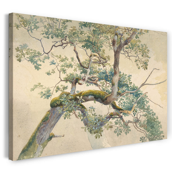 Leinwandbild Charles Reginald Aston - Äste