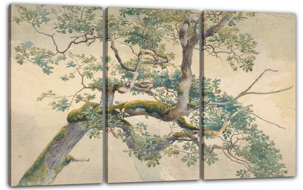 Leinwandbild Charles Reginald Aston - Äste