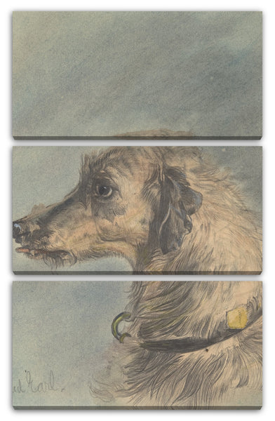 Leinwandbild Maud Earl - Kopf eines schottischen Deerhound nach Landseers "Hafed"