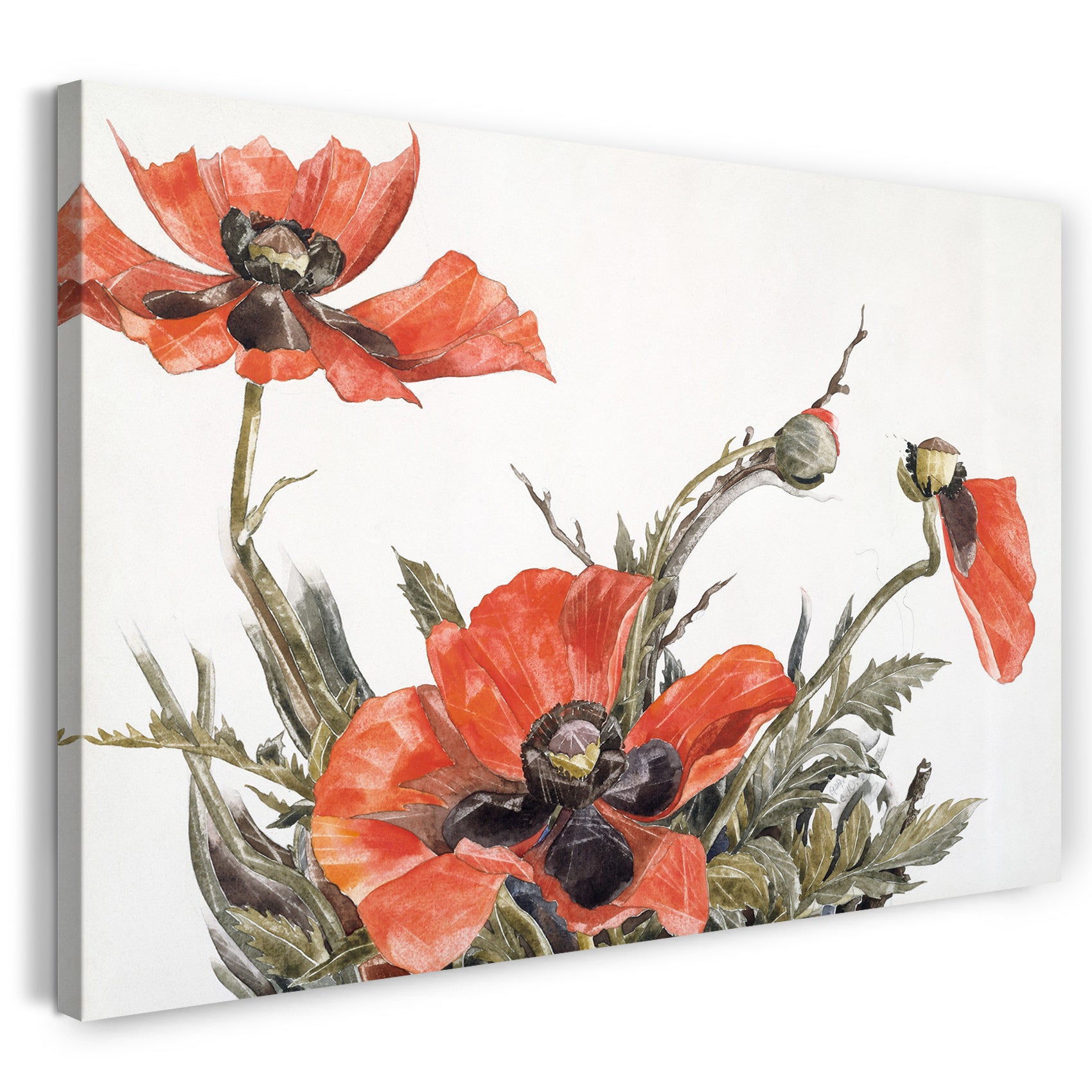Leinwandbild Charles Demuth - Rote Mohnblumen