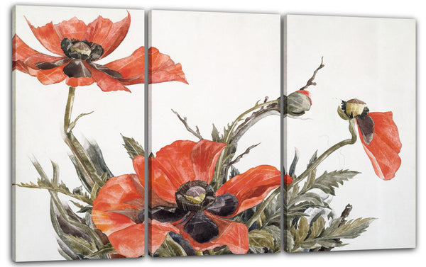 Leinwandbild Charles Demuth - Rote Mohnblumen