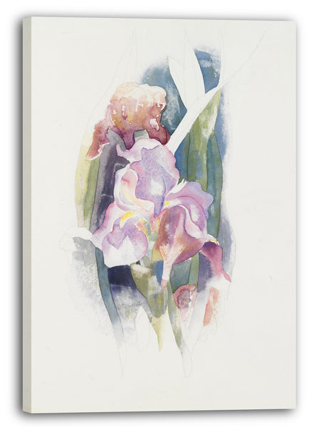 Leinwandbild Charles Demuth - Lila Iris