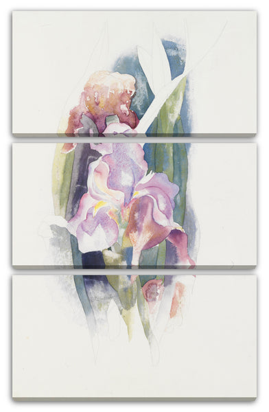 Leinwandbild Charles Demuth - Lila Iris