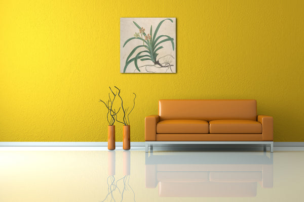 Leinwandbild James Sowerby - Studie einer Orchidee, "Vanda Roxburgia"