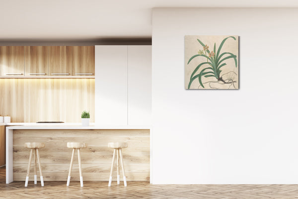 Leinwandbild James Sowerby - Studie einer Orchidee, "Vanda Roxburgia"