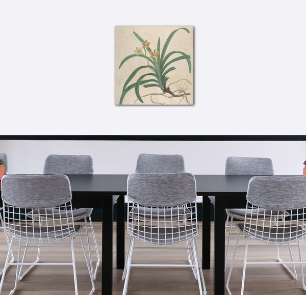 Leinwandbild James Sowerby - Studie einer Orchidee, "Vanda Roxburgia"