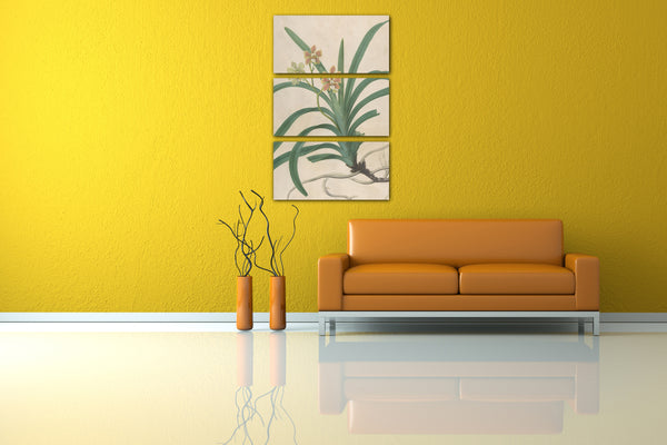 Leinwandbild James Sowerby - Studie einer Orchidee, "Vanda Roxburgia"