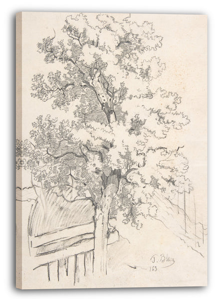 Leinwandbild Tina Blau - Studie eines Baumes