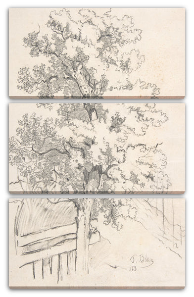 Leinwandbild Tina Blau - Studie eines Baumes