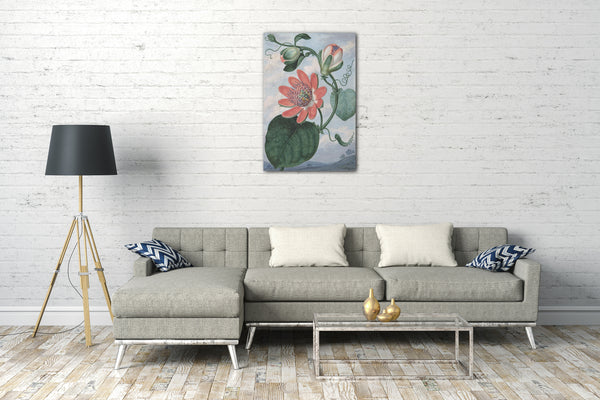 Leinwandbild Sydenham Teak Edwards - Passionsblume