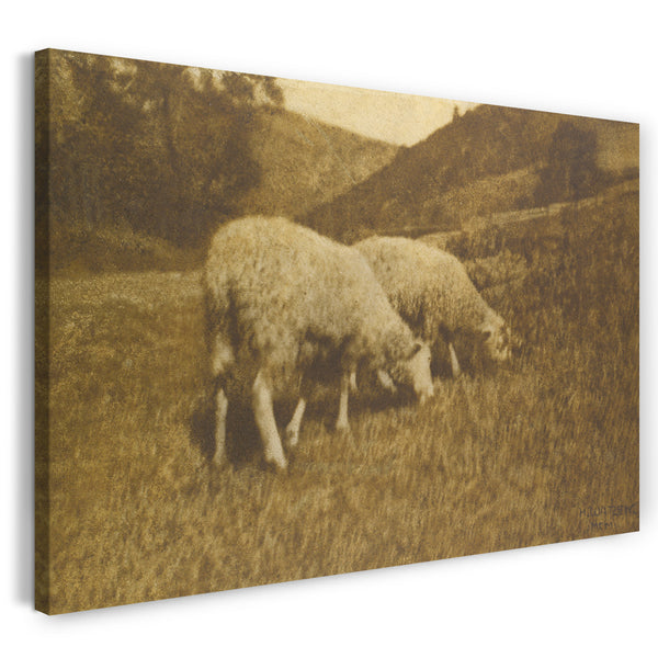 Leinwandbild Hans Watzek - Schaf