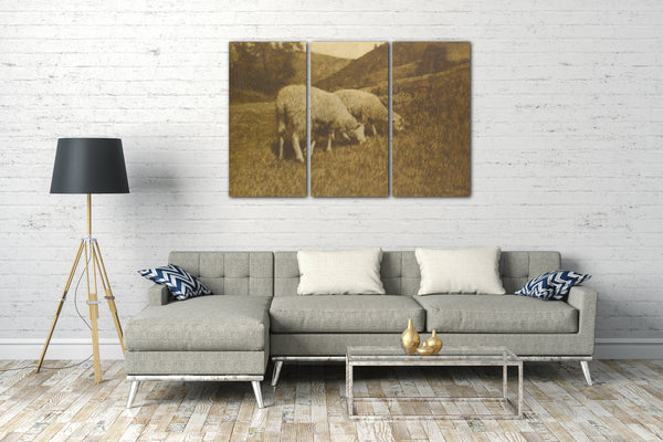 Leinwandbild Hans Watzek - Schaf