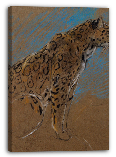 Leinwandbild John Macallan Schwan - Studie eines Jaguars