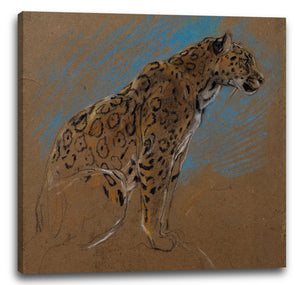 Leinwandbild John Macallan Schwan - Studie eines Jaguars