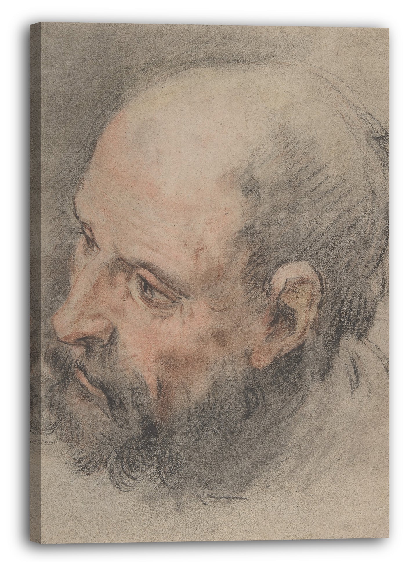 Leinwandbild François Le Moyne - Kopf eines bärtigen Mannes, der nach links schaut