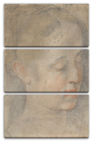 Leinwandbild Federico Barocci - Kopf einer jungen Frau, die nach rechts unten schaut