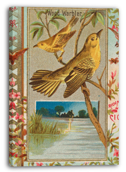 Leinwandbild Herausgegeben von Allen & Ginter - Wood Warbler, from the Birds of America series (N37) for Allen & Ginter Cigarettes