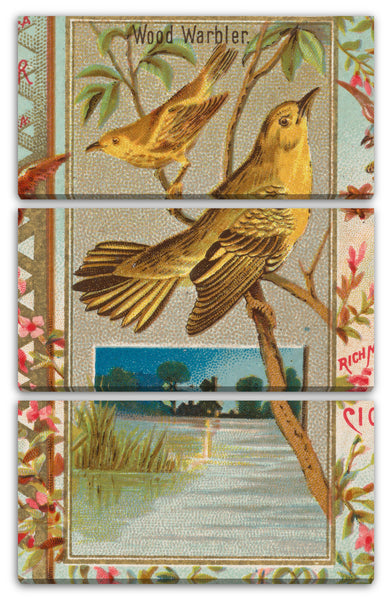 Leinwandbild Herausgegeben von Allen & Ginter - Wood Warbler, from the Birds of America series (N37) for Allen & Ginter Cigarettes