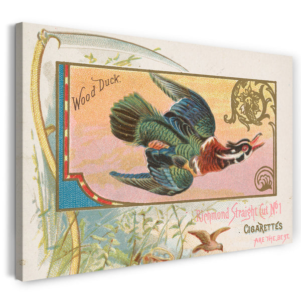 Leinwandbild Herausgegeben von Allen & Ginter - Wood Duck, from the Game Birds series (N40) for Allen & Ginter Cigarettes