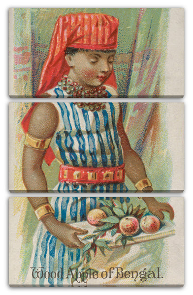 Leinwandbild Herausgegeben von Allen & Ginter - Holz-Apfel von Bengalen, aus der Früchte-Serie (N12) für Allen & Ginter Cigarettes Brands