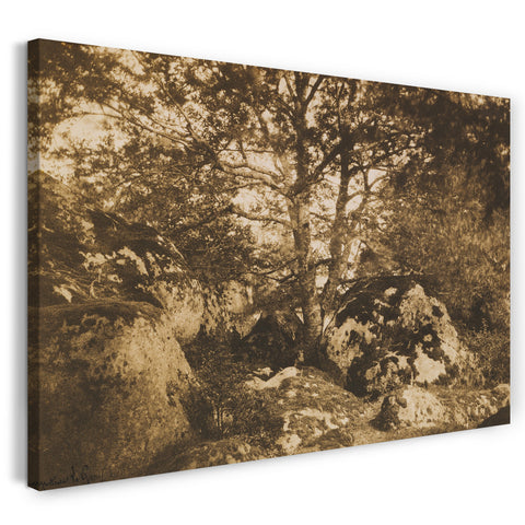 Leinwandbild Gustave Le Grau - [Eiche und Felsen, Wald von Fontainebleau]