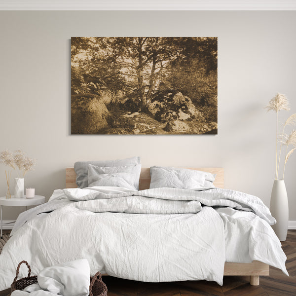 Leinwandbild Gustave Le Grau - [Eiche und Felsen, Wald von Fontainebleau]