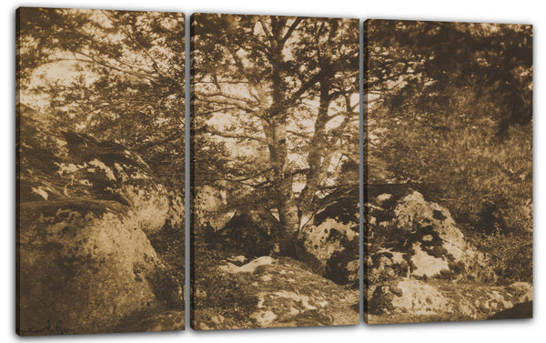 Leinwandbild Gustave Le Grau - [Eiche und Felsen, Wald von Fontainebleau]