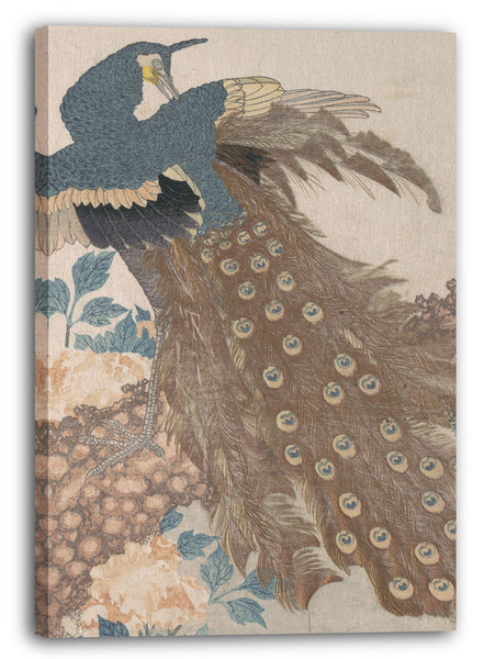 Leinwandbild Totoya Hokkei - Pfau auf Kiefer und Pfingstrosen, aus der Serie Drei Blätter (Mihira no uchi)