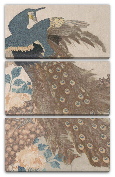 Leinwandbild Totoya Hokkei - Pfau auf Kiefer und Pfingstrosen, aus der Serie Drei Blätter (Mihira no uchi)