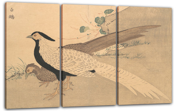 Leinwandbild Kuwagata Keisai - Bai Xian