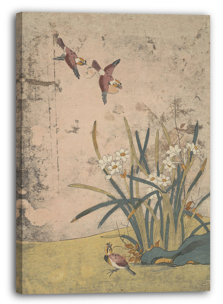 Leinwandbild Suzuki Harunobu - Vögel und Narzissen