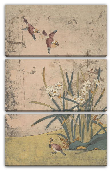 Leinwandbild Suzuki Harunobu - Vögel und Narzissen