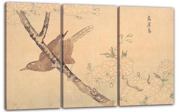 Leinwandbild Kuwagata Keisai - Die graue Drossel