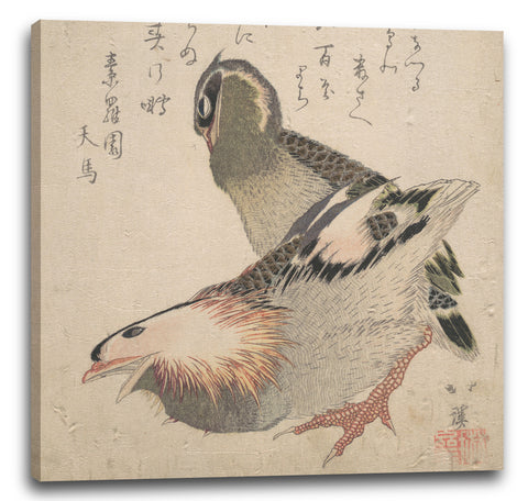 Leinwandbild Totoya Hokkei - Zwei Vögel
