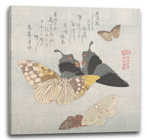 Leinwandbild Kubo Shunman - Verschiedene Motten und Schmetterlinge