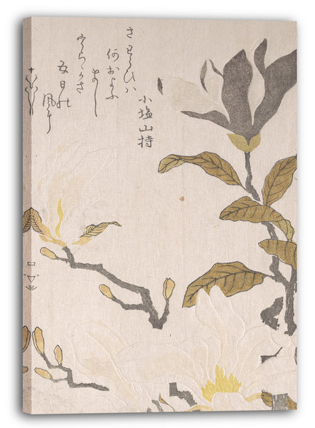 Leinwandbild Kubo Shunman - Magnolienblüten