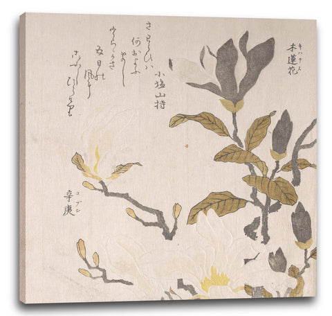 Leinwandbild Kubo Shunman - Magnolienblüten