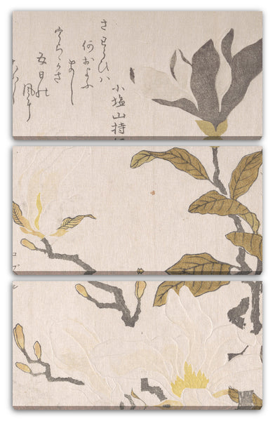 Leinwandbild Kubo Shunman - Magnolienblüten