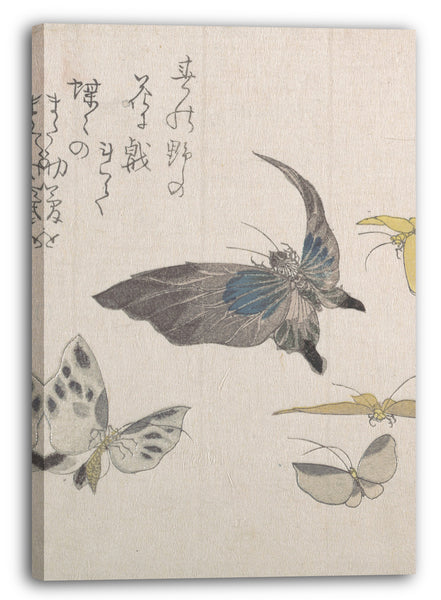 Leinwandbild Kubo Shunman - Schmetterlinge