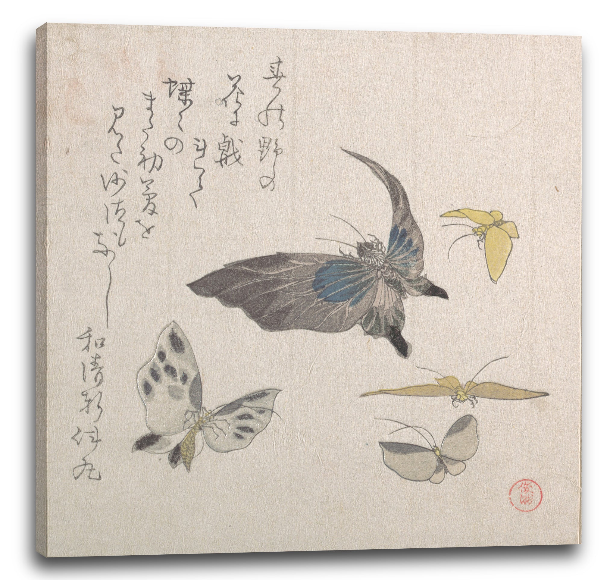 Leinwandbild Kubo Shunman - Schmetterlinge