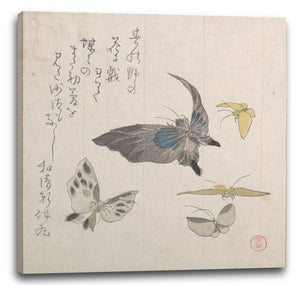 Leinwandbild Kubo Shunman - Schmetterlinge