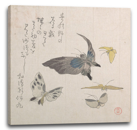 Leinwandbild Kubo Shunman - Schmetterlinge