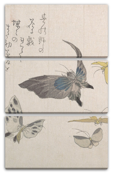 Leinwandbild Kubo Shunman - Schmetterlinge