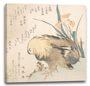 Leinwandbild Kubo Shunman - Paar Mandarinen-Enten und Iris-Blumen