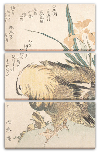 Leinwandbild Kubo Shunman - Paar Mandarinen-Enten und Iris-Blumen