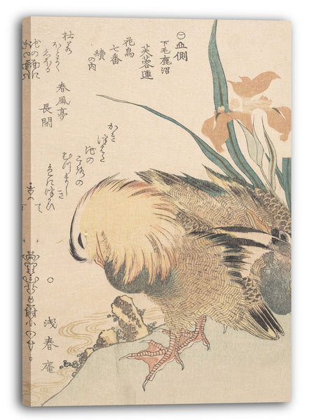 Leinwandbild Kubo Shunman - Paar Mandarinen-Enten und Iris-Blumen
